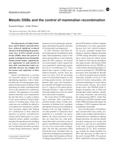 Meiotic DSBs and the control of mammalian recombination