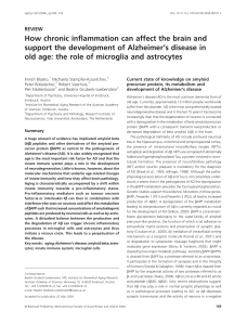 How chronic inflammation can affect the brain and support the