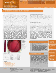 ANTIBIOTIC ENDODONTIC FIBERS