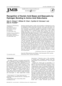 Recognition of Nucleic Acid Bases and Base
