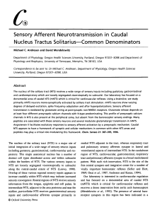 Sensory Afferent Neurotransmission in Caudal Nucleus Tractus