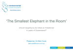 `The Smallest Elephant in the Room`