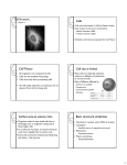 Cells Cell Theory Cell size is limited Surface area Surface area