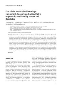 Fate of the bacterial cell envelope component, lipopolysaccharide