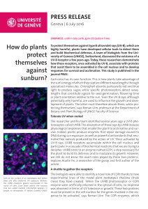 How do plants protect themselves against sunburn?
