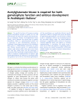 Acetylglutamate kinase is required for both gametophyte function