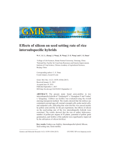 Effects of silicon on seed setting rate of rice intersubspecific hybrids