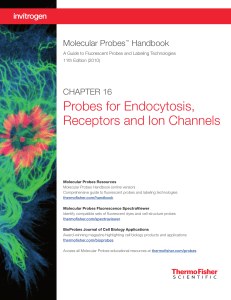Chapter 16—Probes for Endocytosis, Receptors and Ion Channels