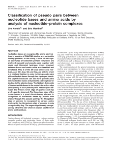 Classification of pseudo pairs between nucleotide bases and amino