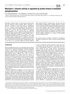 Mucolipin 1 channel activity is regulated by protein kinase A