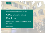 OPEC and the Shale Revolution: Insights from Equilibrium