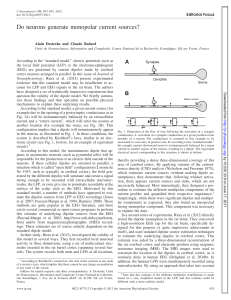 Do neurons generate monopolar current sources?