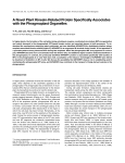 A Novel Plant Kinesin-Related Protein Specifically