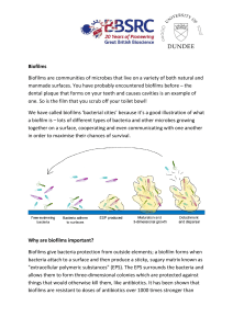 Biofilms Biofilms are communities of microbes that live on a variety