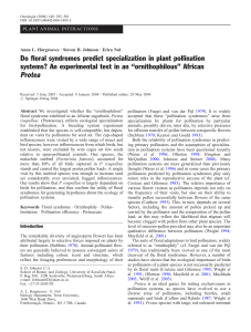 Do floral syndromes predict specialization in plant pollination
