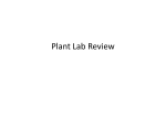 Plant Lab Review - Napa Valley College