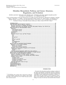 Histidine Biosynthetic Pathway and Genes: Structure