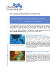 The Census of Marine Life and the Arts