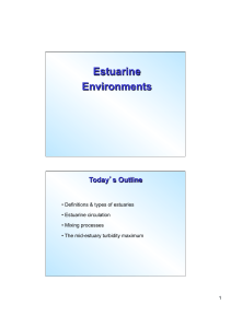 Estuarine and coastal ocean environments