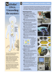 icholas` DNA: Unraveling the mystery