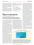 Origins of multicellularity