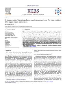 The early evolution of biological energy conservation