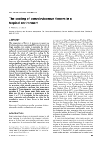 The cooling of convolvulaceous flowers in a tropical environment