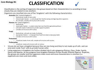classification - All Saints Academy Dunstable