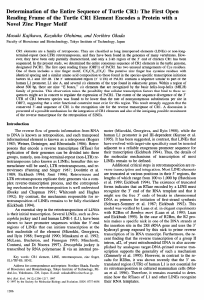 Determination of the entire sequence of turtle CR1: the first open