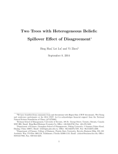 Spillover Effect of Disagreement