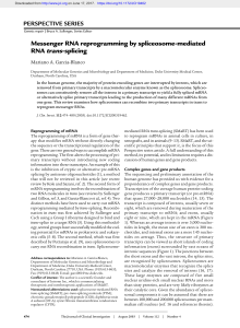 Messenger RNA reprogramming by spliceosome-mediated