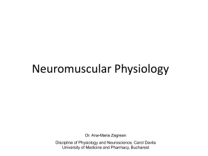 nervous system physiology 4