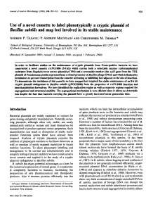 Use of a novel cassette to label phenotypically a cryptic plasmid of