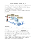 Heredity and Genetics Vocabulary (Part 1)