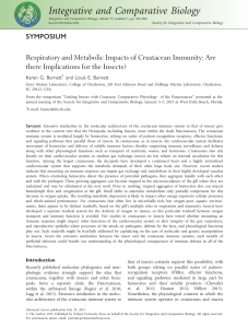 Respiratory and Metabolic Impacts of Crustacean Immunity: Are