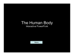 The Human Body