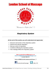 Respiratory System - London School of Massage