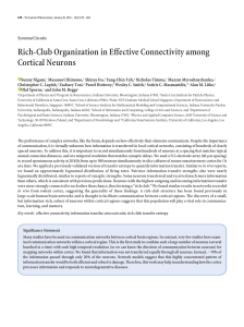 Rich-club organization in effective connectivity among cortical neurons
