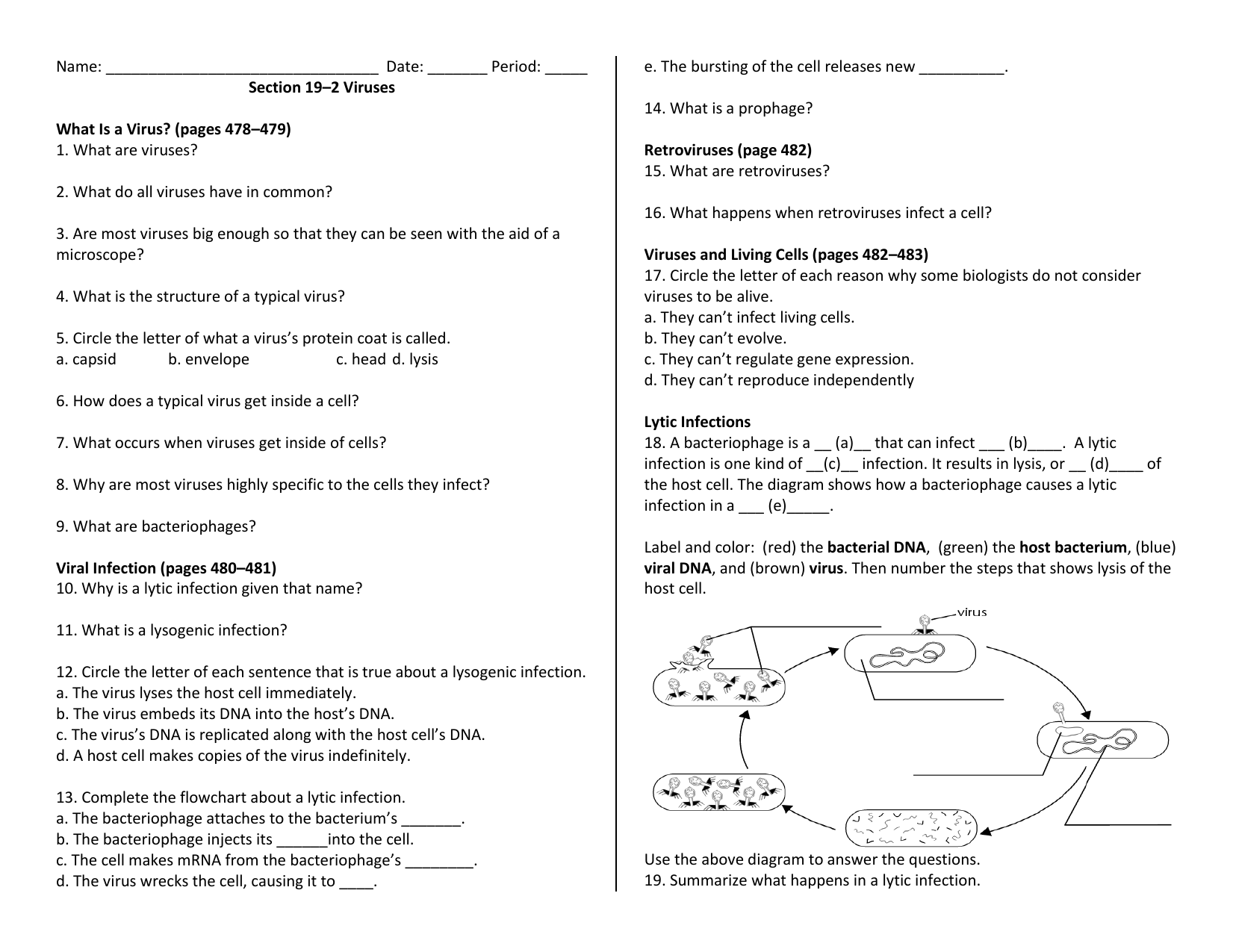 Viruses And Living Cells Pages 482 483 Chart