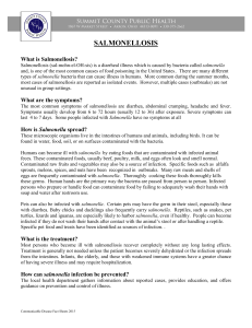 salmonellosis - Summit County Public Health