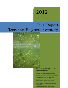 Final Report Nearshore Eelgrass Inventory