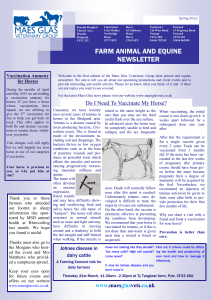 Farm Animal Spring Newsletter 2013