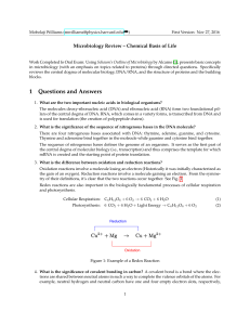 Microbiology (Notes)