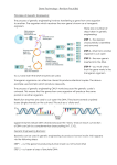 Gene Technology – Revision Pack (B6)