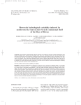 Mesoscale hydrological variability induced by northwesterly wind on