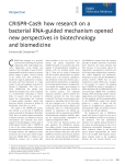 CRISPRCas9: how research on a bacterial RNAguided mechanism