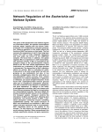 Network Regulation of the Escherichia coli Maltose System