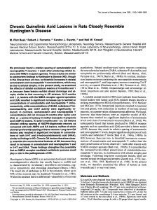 Chronic Quinolinic Acid Lesions in Rats Closely Resemble