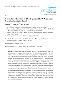 A Structural Overview of RNA-Dependent RNA Polymerases from