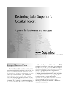 DNR booklet - The North Shore Forest Collaborative